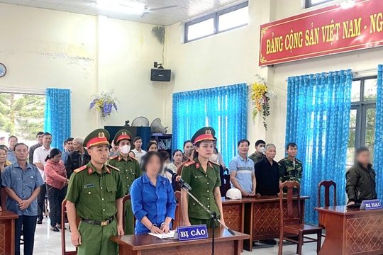 Lừa đảo chiếm đoạt tài sản, Hội trưởng Hội phụ nữ lĩnh án