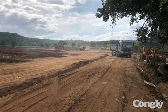 Gia Lai: Hơn 5 ha đất của Ban quản lý rừng phòng hộ Chư Sê bị đào xới, san ủi