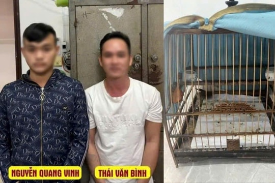Liều lĩnh vào nhà dân cướp lồng chim