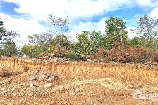 Gia Lai: Sở Nông nghiệp báo cáo sau phản ánh của Báo Công lý về việc hàng ha đất bị đào xới, san ủi