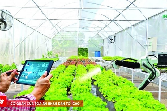 Agribank đẩy mạnh cho vay nông nghiệp công nghệ cao