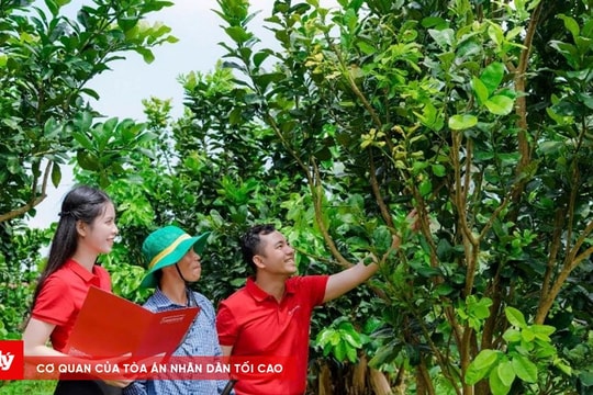 Agribank đẩy mạnh cho vay qua tổ vay vốn - tăng khả năng tiếp cận cho khách hàng