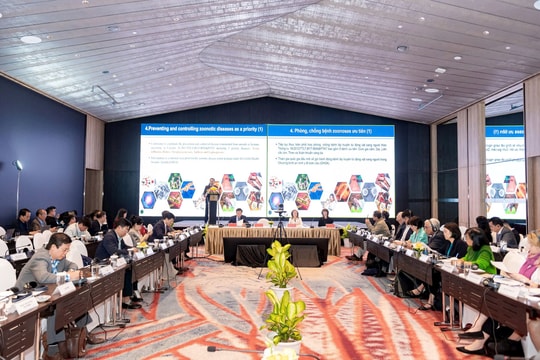 Đề xuất các giải pháp tiến tới loại trừ hoạt động buôn bán thịt chó và mèo