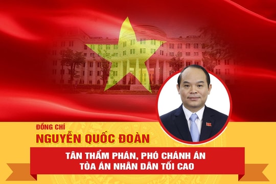 Chân dung tân Phó Chánh án TANDTC Nguyễn Quốc Đoàn