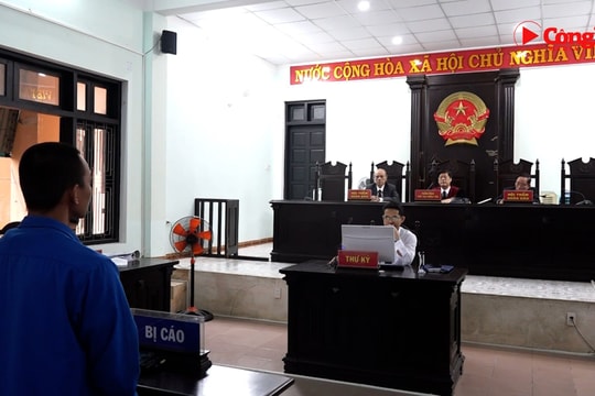 Chở khách nhập cảnh trái phép, tài xế bị phạt tù