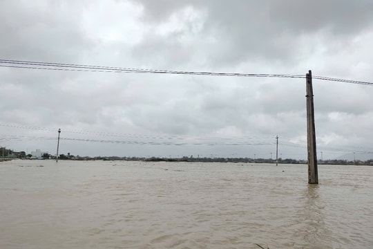 Bình Định: Sạt lở, ngập úng gần 6.000ha lúa vừa gieo sạ, do mưa lớn