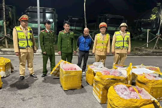 Phát hiện, thu giữ gần 1 tấn nội tạng động vật hôi thối
