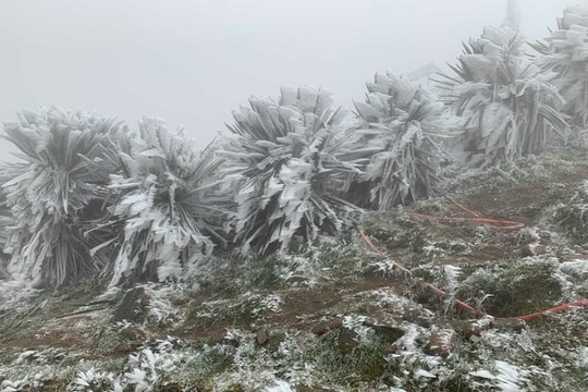 Thời tiết ngày 8/2: Vùng núi Bắc Bộ có băng giá, mưa tuyết