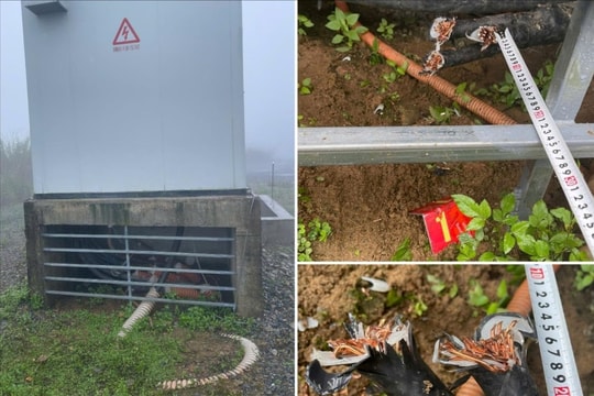 Hai thanh thiếu niên trộm cáp của nhà máy điện gió