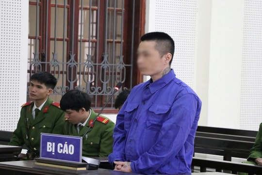 Con nghiện giấu ma túy trong chậu cây cảnh