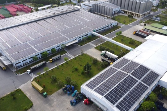 Sabeco nằm trong top 3 thương hiệu niêm yết dẫn đầu năm 2024