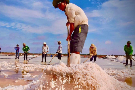 Công bố Festival nghề muối Việt Nam - Bạc Liêu năm 2025