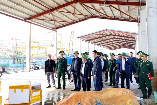 Nghệ An: Kiểm tra nhiệm vụ cấp bách chống khai thác hải sản bất hợp pháp