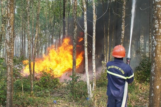 Thời tiết ngày 4/3: Tây Nguyên, Nam Bộ nắng khô, nguy cơ cháy rừng cao