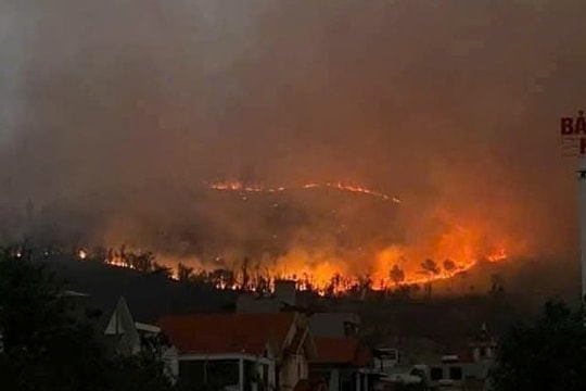 Quảng Ninh huy động lực lượng lớn tham gia chữa cháy rừng