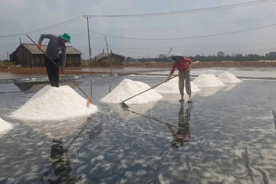 Sẵn sàng cho sự kiện Festival nghề Muối Việt Nam - Bạc Liêu năm 2025