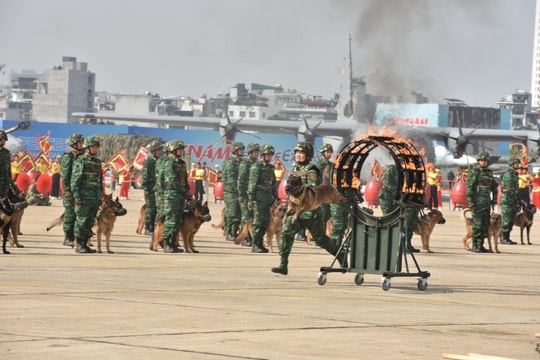 Mãn nhãn hình ảnh khai mạc Triển lãm Quốc phòng 2024