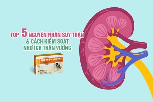Top 5+ nguyên nhân suy thận và cách kiểm soát nhờ Ích Thận Vương