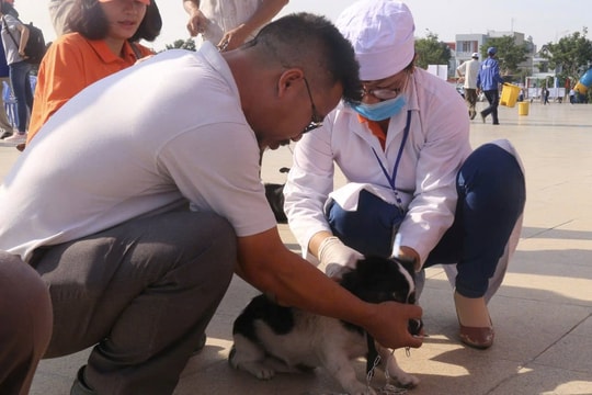 Chủ động thực hiện các biện pháp phòng ngừa bệnh dại