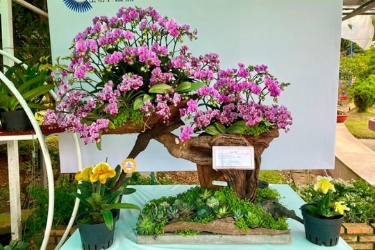 Trao giải Hội thi "Triển lãm hoa, cây cảnh quốc tế"