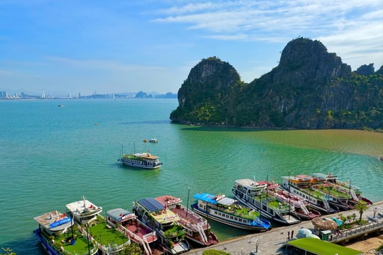 Có phải Vịnh Hạ Long bị loại khỏi danh sách Di sản thiên nhiên thế giới?