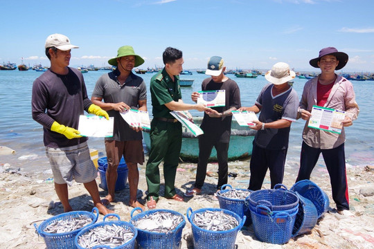 Bình Thuận thực hiện cao điểm nhiệm vụ chống khai thác IUU