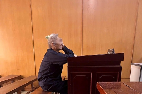 Cụ bà vận chuyển thuê ma túy, lãnh 20 năm tù