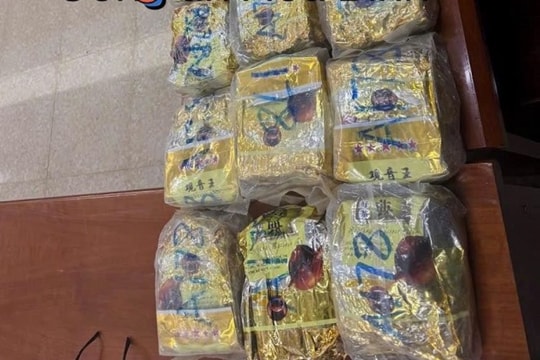 Bắt giữ hơn 80 kg ma túy ở Hòa Bình