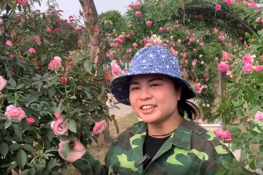 Festival Hoa Mê Linh Lễ hội Hoa lớn nhất miền Bắc