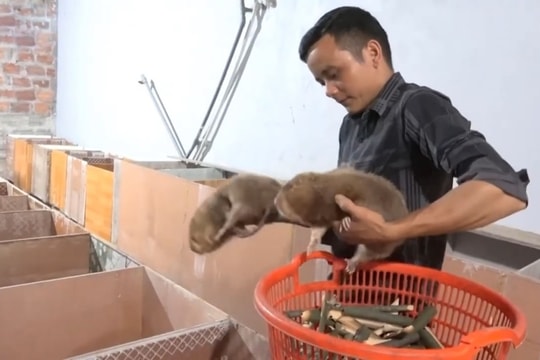 Vai trò Mặt trận Tổ quốc trong xây dựng nông thôn mới