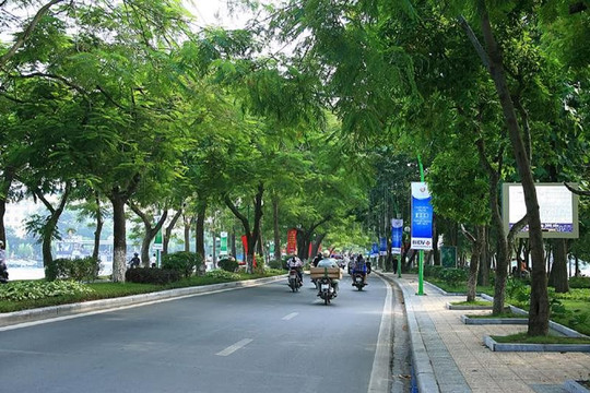 Hà Nội phấn đấu trồng mới hơn 700.000 cây xanh trong năm 2025