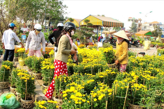Thành phố Phan Thiết chuẩn bị tổ chức Chợ Tết Ất Tỵ 2025
