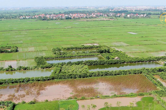 Bãi bỏ 12 Thông tư trong lĩnh vực tài chính đất đai