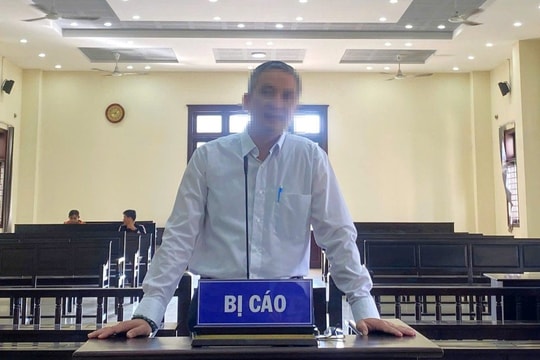 Gây ô nhiễm môi trường, Giám đốc Công ty TNHH An Hưng Nông bị phạt 800 triệu đồng