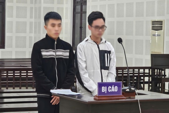 Hành trình phạm tội của bộ đôi đồng hương