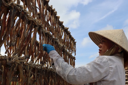 Ghé thăm làng nghề làm khô cá Khoai nức tiếng Cà Mau