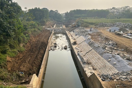 131 cán bộ, công chức bị xử lý kỷ luật ở Thanh Hóa