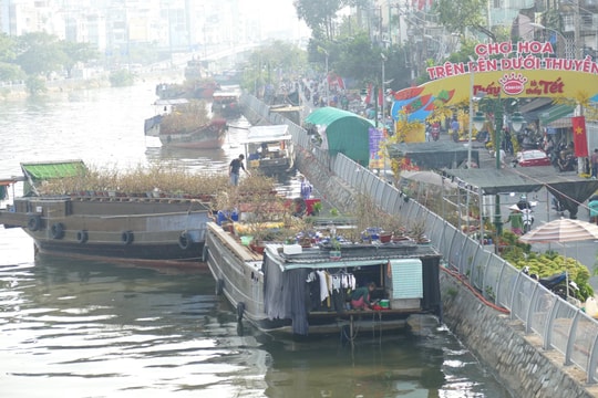 TP.HCM tổ chức 1 Hội hoa Xuân và 7 chợ hoa Tết