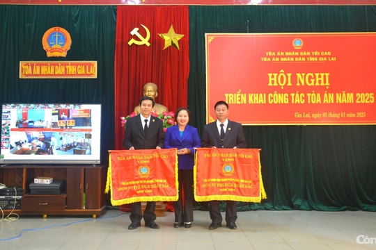 TAND hai cấp tỉnh Gia Lai hoàn thành đạt và vượt các chỉ tiêu đề ra