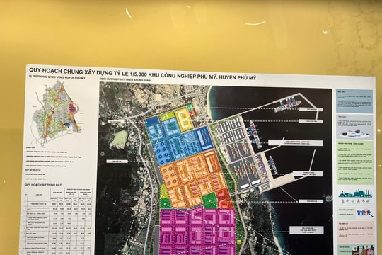 Bình Định giải trình về quy hoạch Khu công nghiệp Phù Mỹ có diện tích 820,93ha