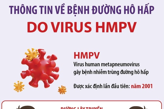 Thông tin về bệnh đường hô hấp do virus HMPV