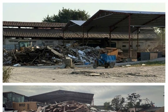 Hải Phòng: Kiểm tra việc chấp hành pháp luật cơ sở tái chế gỗ tại phường Máy Chai