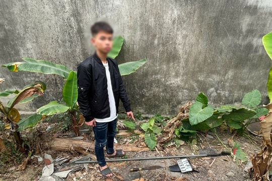 Khởi tố 11 thanh thiếu niên "chặt biển" khoe chiến tích trên mạng xã hội