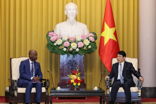 Chủ tịch nước Lương Cường tiếp Bộ trưởng Bộ Ngoại giao, Hội nhập khu vực và kiều dân nước Cộng hòa Togo Robert Dussey