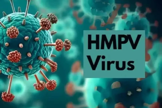 Bệnh do virus gây viêm phổi trên người tại Trung Quốc không có gì bất thường