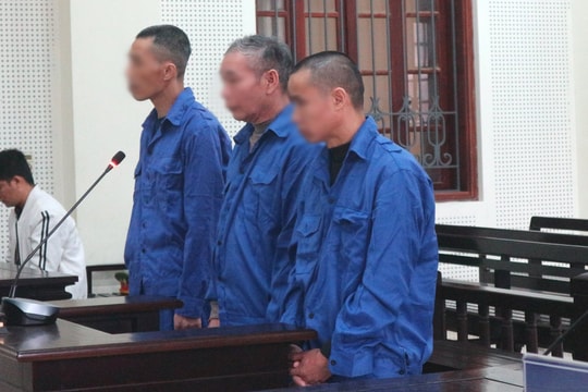 Bạn tù lĩnh án chung thân vì ma túy