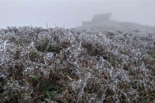 Thời tiết ngày 26/1: Không khí lạnh gây mưa, rét đậm, rét hại tại Bắc Bộ