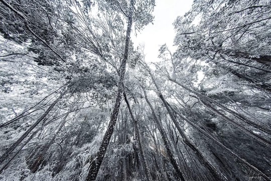 Thời tiết ngày 28/1: Bắc Bộ rét hại, vùng núi có băng giá và sương muối