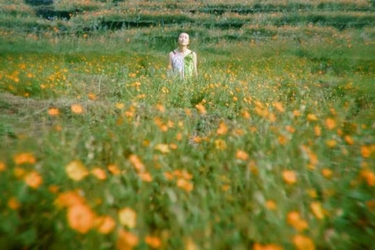 Những điều thú vị bên trong phim Việt nhận hai giải tại Liên hoan phim Venice