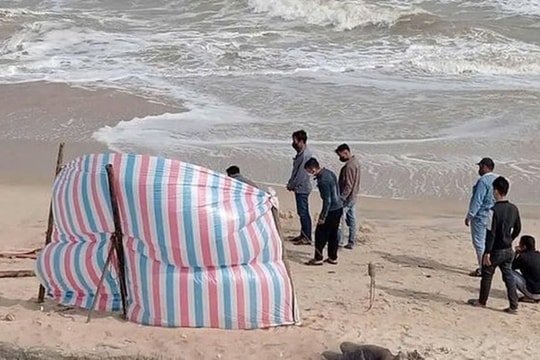 Phát hiện thi thể trôi dạt vào bờ biển